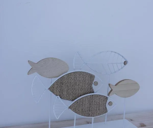 Apartamento Island Fuerteventura